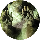 塩田萌々香 profile picture